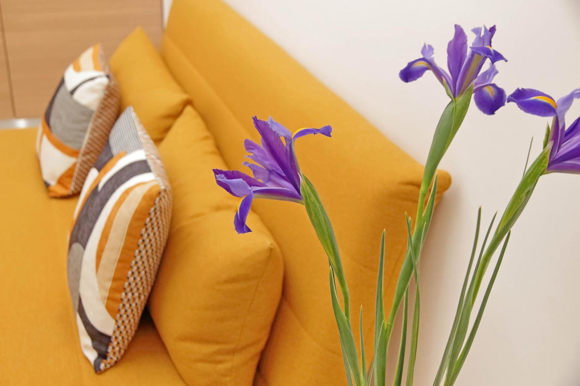 Roma & Amor Apartment Zewnętrze zdjęcie